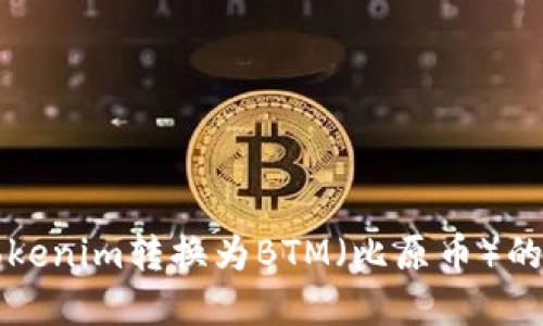 如何将Tokenim转换为BTM（比原币）的完整指南