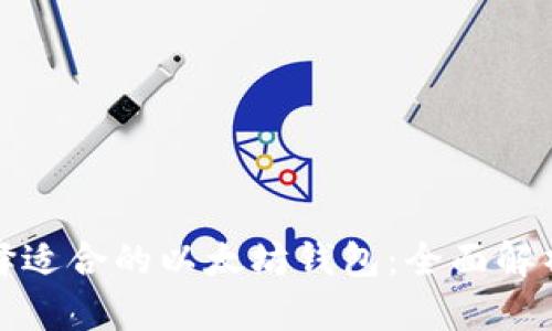 如何选择适合的以太坊钱包：全面解析与比较