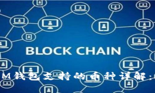 TokenTokenIM钱包支持的币种详解：助你投资无忧