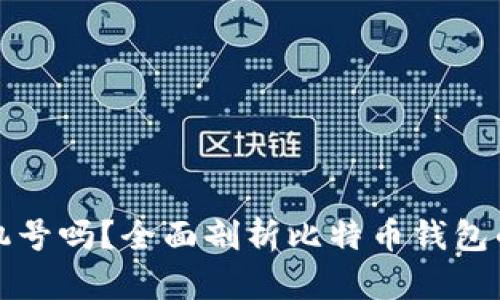 比特币钱包能用手机号吗？全面剖析比特币钱包的访问方式与安全性