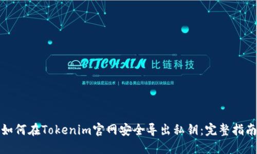 如何在Tokenim官网安全导出私钥：完整指南