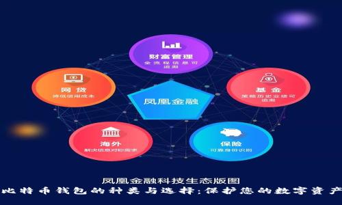 比特币钱包的种类与选择：保护您的数字资产