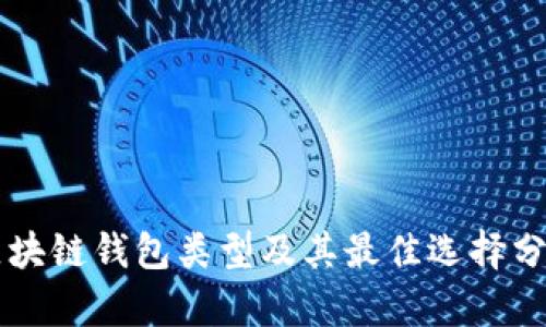 区块链钱包类型及其最佳选择分析