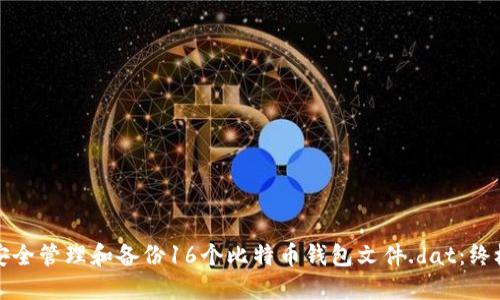 如何安全管理和备份16个比特币钱包文件.dat：终极指南
