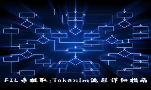 FIL币提取：Tokenim流程详细指南