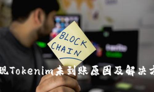 币安提现Tokenim未到账原因及解决方案详解