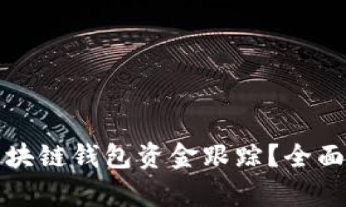 如何有效进行区块链钱包资金跟踪？全面解析与实用技巧