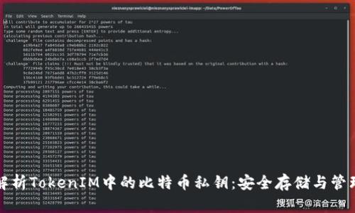 深入解析TokenIM中的比特币私钥：安全存储与管理策略