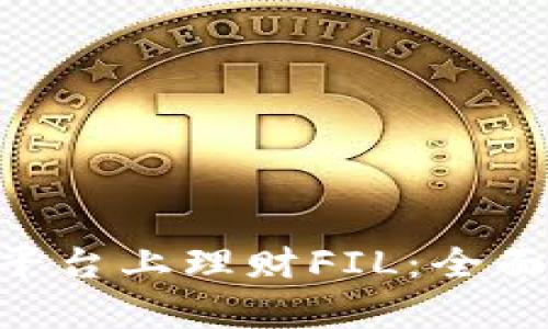 如何在Tokenim平台上理财FIL：全面解析与投资策略