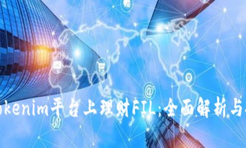 如何在Tokenim平台上理财FIL：全面解析与投资策略