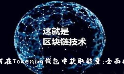 如何在Tokenim钱包中获取能量：全面指南