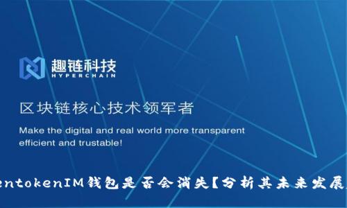 TokentokenIM钱包是否会消失？分析其未来发展趋势