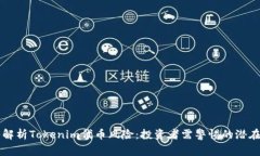 深入解析Tokenim代币风险：