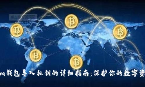 Tokenim钱包导入私钥的详细指南：保护你的数字资产安全