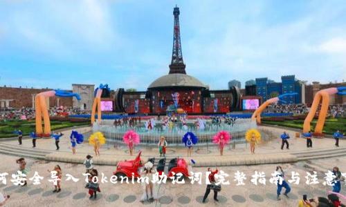 如何安全导入Tokenim助记词？完整指南与注意事项