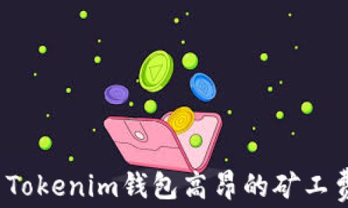 
如何解决Tokenim钱包高昂的矿工费用问题？