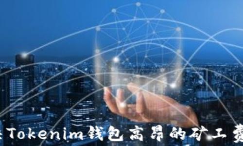
如何解决Tokenim钱包高昂的矿工费用问题？