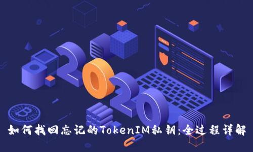 如何找回忘记的TokenIM私钥：全过程详解