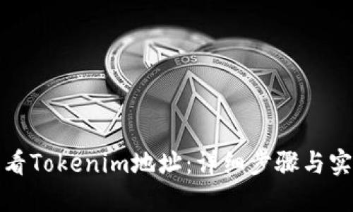 如何查看Tokenim地址：详细步骤与实用技巧