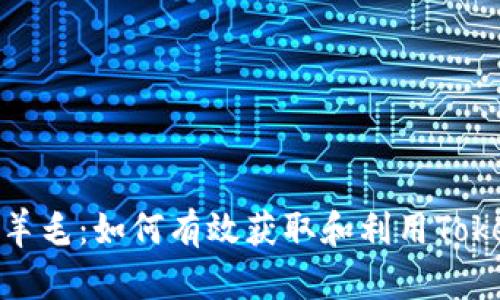 Tokenim羊毛：如何有效获取和利用Tokenim代币