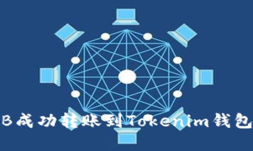 如何将BNB成功转账到Tokenim钱包：完整指南