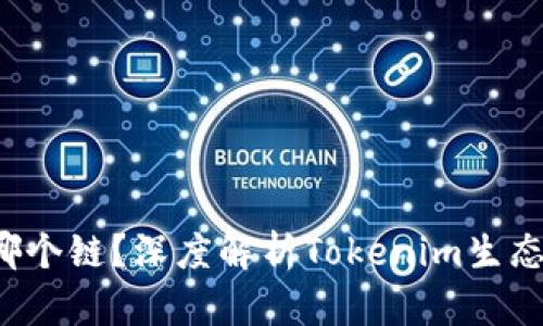 Tokenim的ETH是哪个链？深度解析Tokenim生态与以太坊链的关系