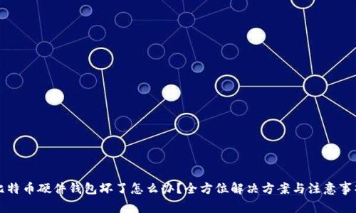 比特币硬件钱包坏了怎么办？全方位解决方案与注意事项