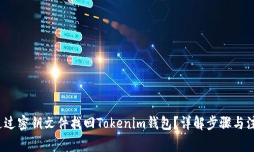 如何通过密钥文件找回Tokenim钱包？详解步骤与注意事项