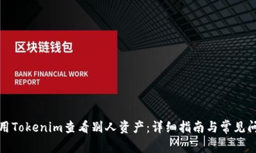如何使用Tokenim查看别人资产：详细指南与常见问题解答
