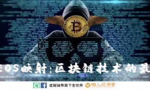 Tokenim支持EOS映射：区块链技术的最新进展与影响