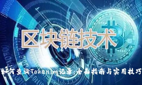 如何查询Tokenim记录：全面指南与实用技巧