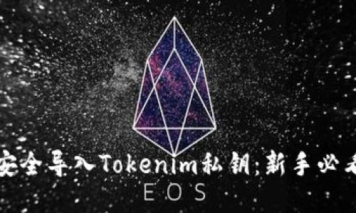 如何安全导入Tokenim私钥：新手必看指南