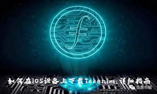 如何在iOS设备上下载Tokenim：详细指南