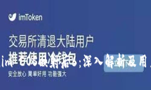 Tokenim EOS映射后6：深入解析及用户指南