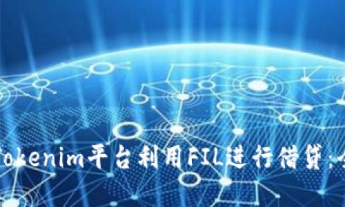 如何在Tokenim平台利用FIL进行借贷：全面指南