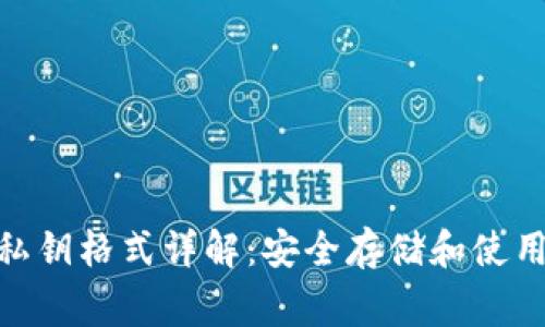 TokenIM私钥格式详解：安全存储和使用注意事项