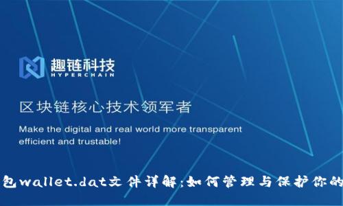 比特币钱包wallet.dat文件详解：如何管理与保护你的数字资产