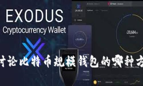 能否请您提供更多的上下文或具体要求，使我能够更好地为您提供帮助？例如，您想讨论比特币规模钱包的哪种方面？是技术细节、使用方法、比较不同类型的钱包，还是其他？感谢您提供帮助的机会！