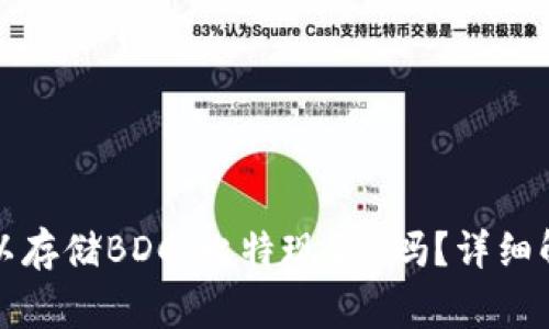 比特币钱包可以存储BDC（比特现金）吗？详细解析与常见疑问