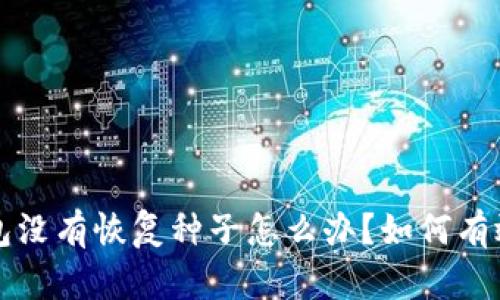 比特币钱包没有恢复种子怎么办？如何有效找回资产