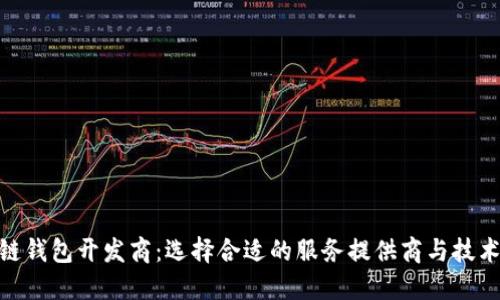  漯河区块链钱包开发商：选择合适的服务提供商与技术解决方案 