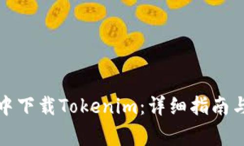 如何在百度云中下载Tokenim：详细指南与常见问题解答