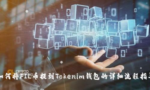 如何将FIL币提到Tokenim钱包的详细流程指导