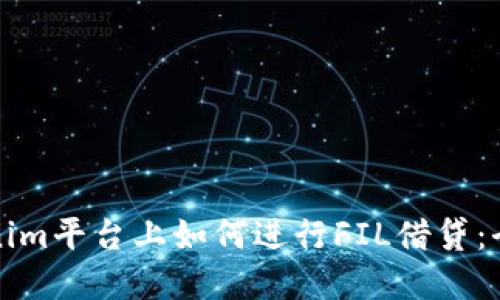 在Tokenim平台上如何进行FIL借贷：全面指南