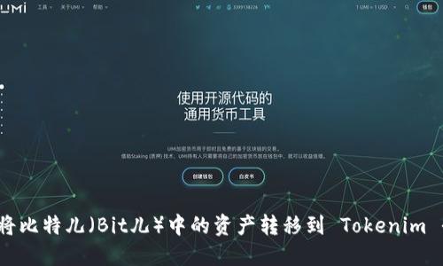如何将比特儿（Bit儿）中的资产转移到 Tokenim 平台？