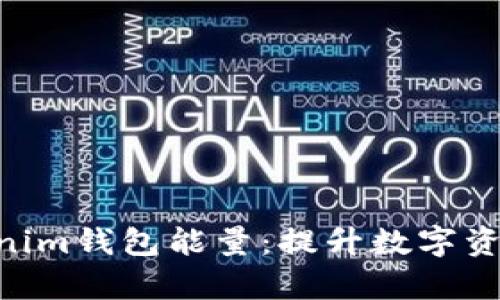 深入了解TokenTokenim钱包能量：提升数字资产安全性与管理效率