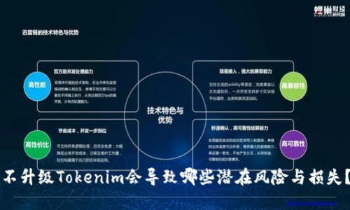 不升级Tokenim会导致哪些潜在风险与损失？