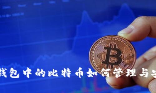 火币网冷钱包中的比特币如何管理与安全性分析