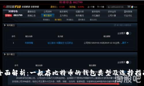全面解析：一般存比特币的钱包类型及选择指南