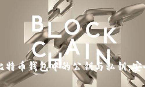 深入解析比特币钱包中的公钥与私钥：安全性与应用